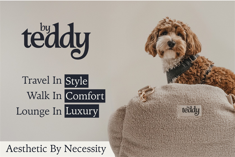 By Teddy Hero Banner
